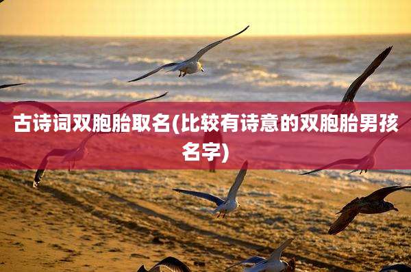 古诗词双胞胎取名(比较有诗意的双胞胎男孩名字)