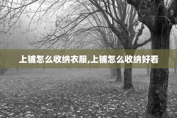 上铺怎么收纳衣服,上铺怎么收纳好看