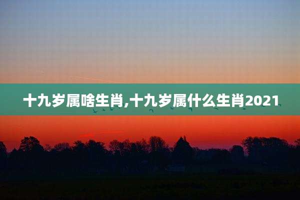 十九岁属啥生肖,十九岁属什么生肖2021