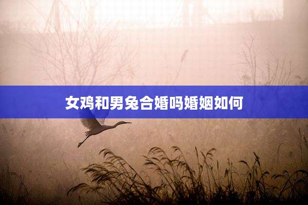 女鸡和男兔合婚吗婚姻如何