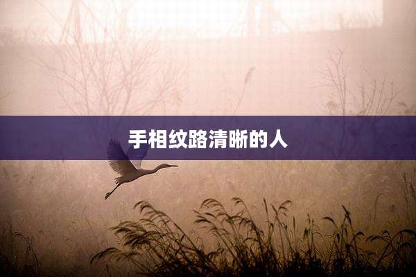 手相纹路清晰的人