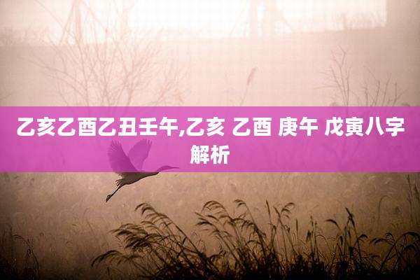 乙亥乙酉乙丑壬午,乙亥 乙酉 庚午 戊寅八字解析