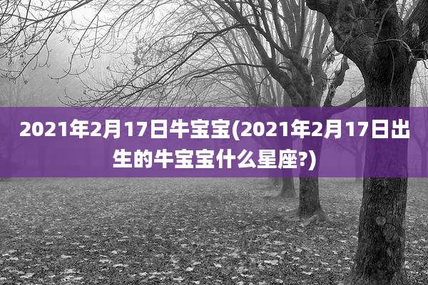 2021年2月17日牛宝宝(2021年2月17日出生的牛宝宝什么星座?)