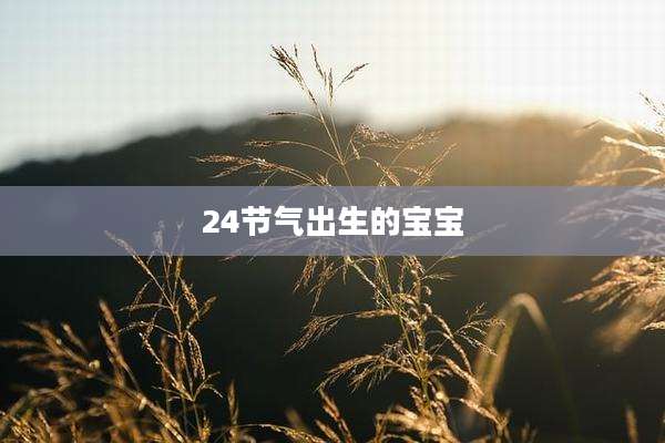 24节气出生的宝宝