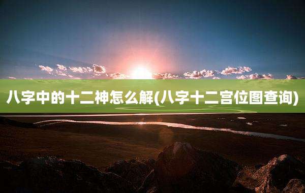 八字中的十二神怎么解(八字十二宫位图查询)
