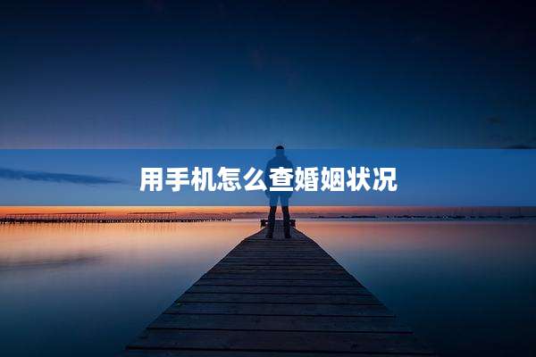 用手机怎么查婚姻状况