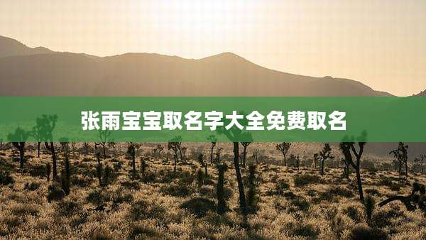 张雨宝宝取名字大全免费取名