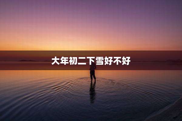 大年初二下雪好不好