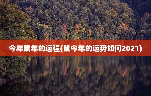 今年鼠年的运程(鼠今年的运势如何2021)