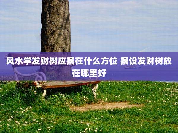 风水学发财树应摆在什么方位 摆设发财树放在哪里好
