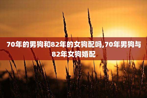 70年的男狗和82年的女狗配吗,70年男狗与82年女狗婚配