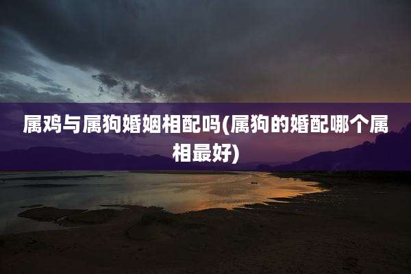 属鸡与属狗婚姻相配吗(属狗的婚配哪个属相最好)