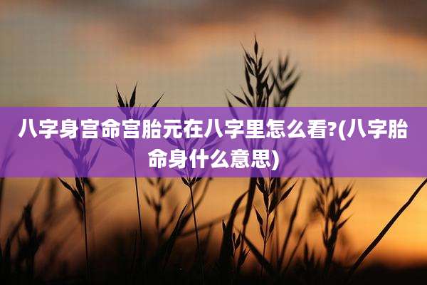 八字身宫命宫胎元在八字里怎么看?(八字胎命身什么意思)
