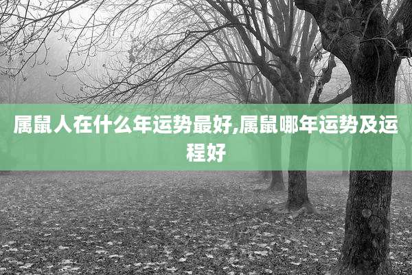 属鼠人在什么年运势最好,属鼠哪年运势及运程好