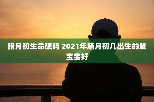 腊月初生命硬吗 2021年腊月初几出生的鼠宝宝好