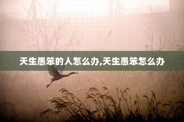 天生愚笨的人怎么办,天生愚笨怎么办