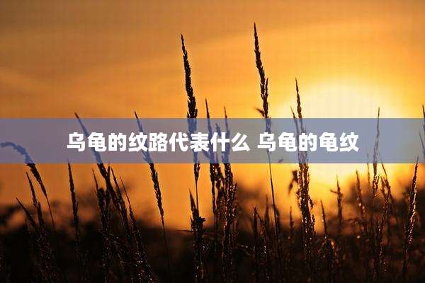 乌龟的纹路代表什么 乌龟的龟纹