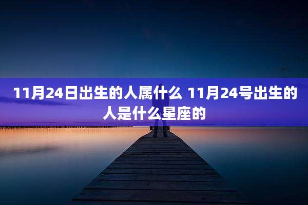 11月24日出生的人属什么 11月24号出生的人是什么星座的