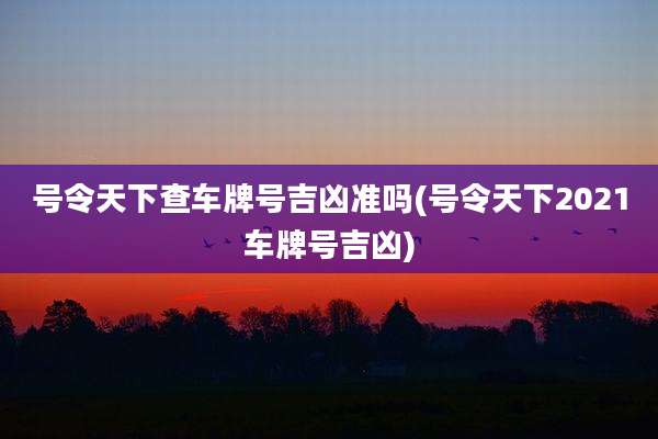 号令天下查车牌号吉凶准吗(号令天下2021车牌号吉凶)