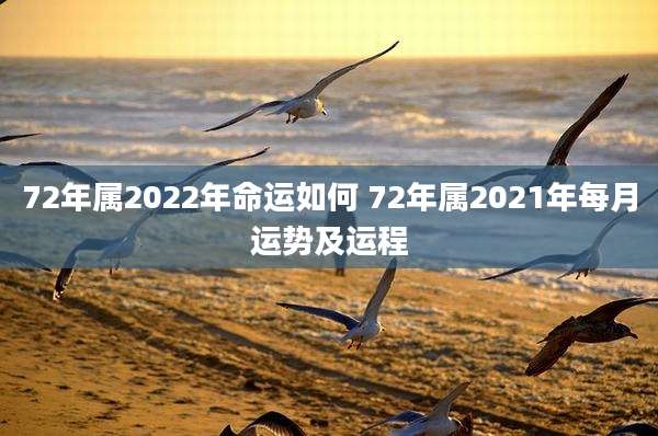 72年属2022年命运如何 72年属2021年每月运势及运程