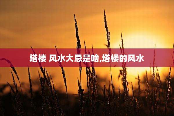 塔楼 风水大忌是啥,塔楼的风水