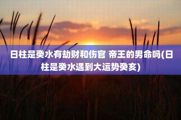 日柱是癸水有劫财和伤官 帝王的男命吗(日柱是癸水遇到大运势癸亥)