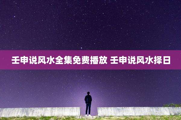 壬申说风水全集免费播放 壬申说风水择日