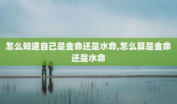 怎么知道自己是金命还是水命,怎么算是金命还是水命