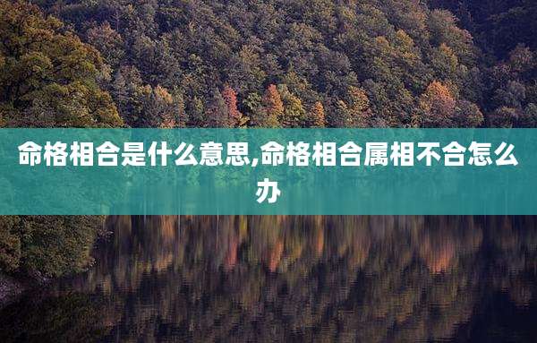 命格相合是什么意思,命格相合属相不合怎么办