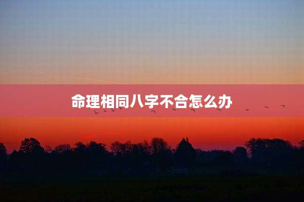 命理相同八字不合怎么办