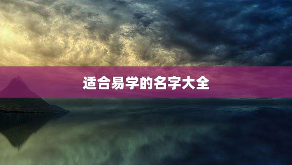 适合易学的名字大全