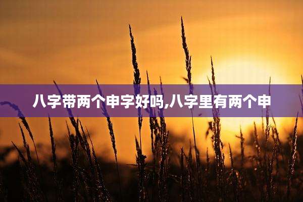 八字带两个申字好吗,八字里有两个申