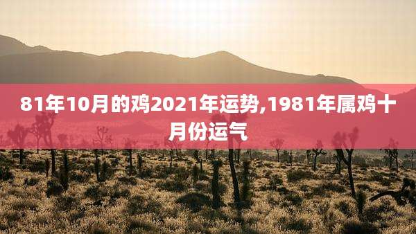 81年10月的鸡2021年运势,1981年属鸡十月份运气