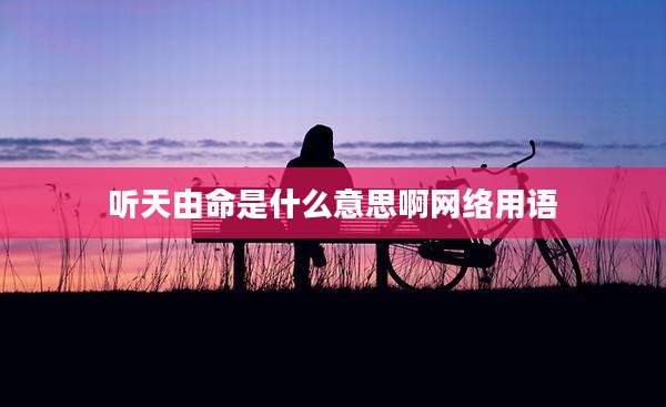 听天由命是什么意思啊网络用语