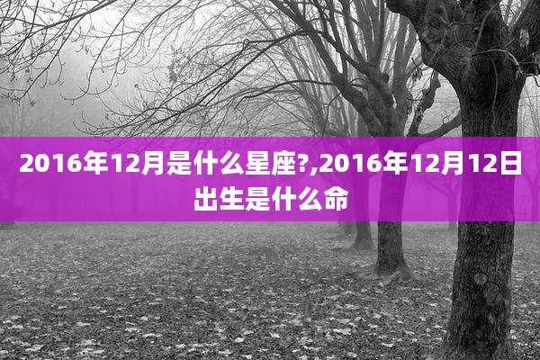2016年12月是什么星座?,2016年12月12日出生是什么命