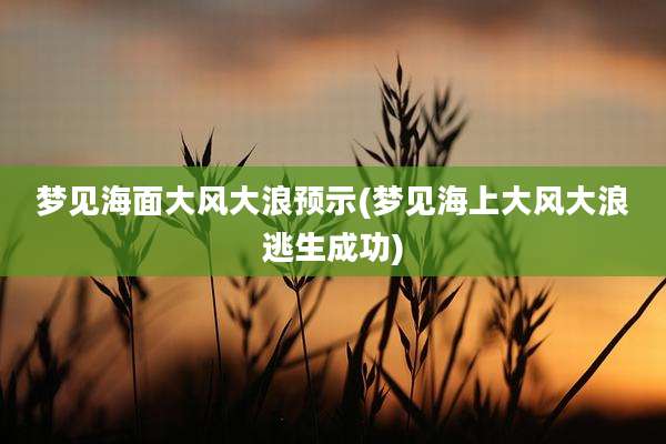 梦见海面大风大浪预示(梦见海上大风大浪逃生成功)