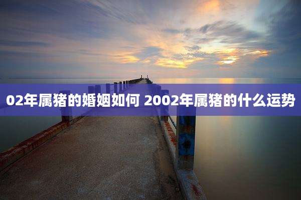 02年属猪的婚姻如何 2002年属猪的什么运势