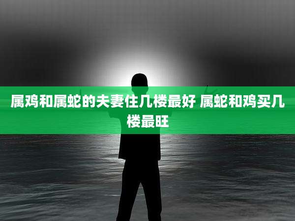 属鸡和属蛇的夫妻住几楼最好 属蛇和鸡买几楼最旺