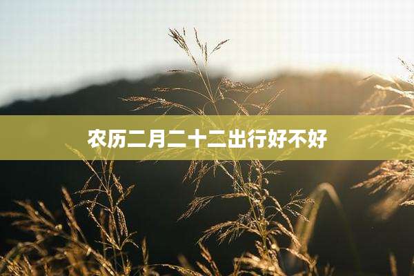 农历二月二十二出行好不好