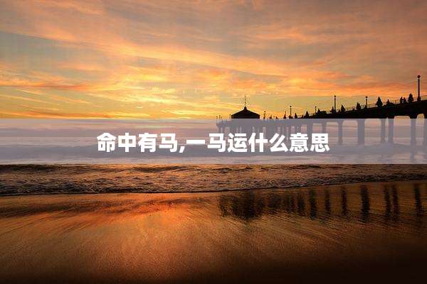 命中有马,一马运什么意思