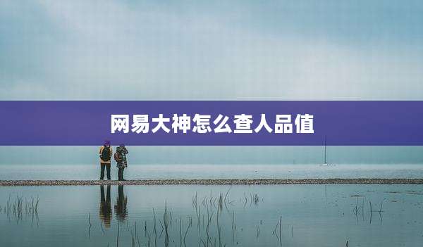 网易大神怎么查人品值