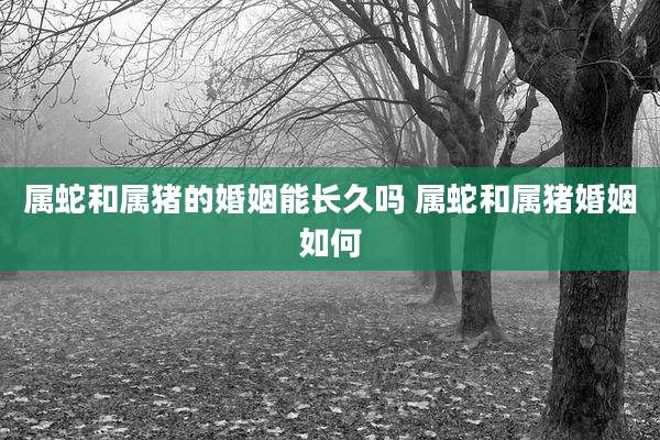 属蛇和属猪的婚姻能长久吗 属蛇和属猪婚姻如何