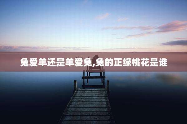 兔爱羊还是羊爱兔,兔的正缘桃花是谁
