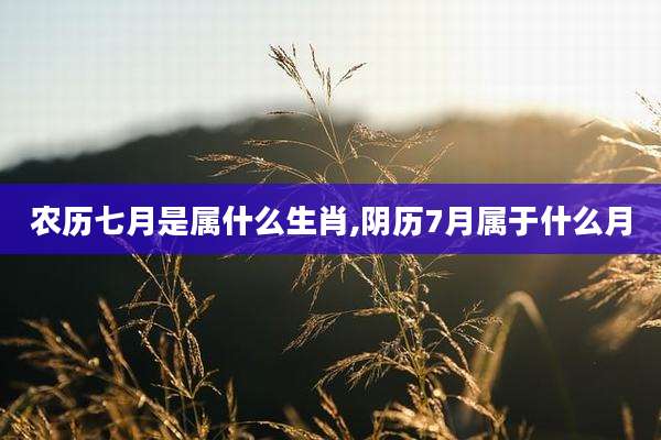 农历七月是属什么生肖,阴历7月属于什么月