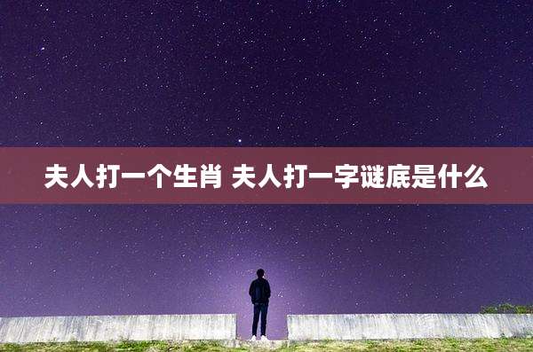 夫人打一个生肖 夫人打一字谜底是什么