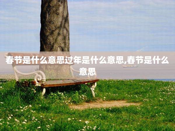 春节是什么意思过年是什么意思,舂节是什么意思