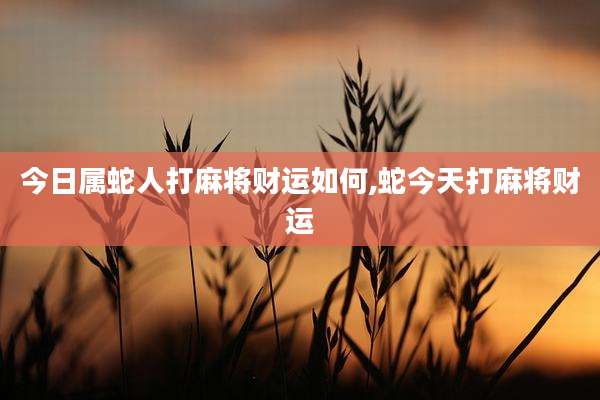 今日属蛇人打麻将财运如何,蛇今天打麻将财运