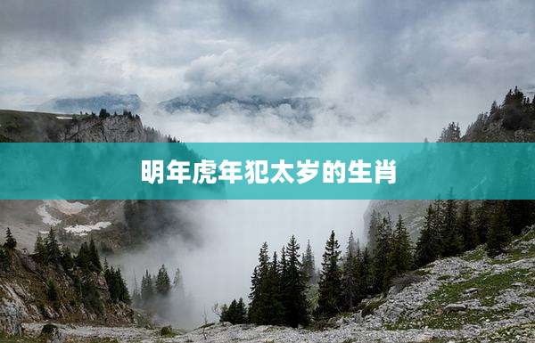 明年虎年犯太岁的生肖