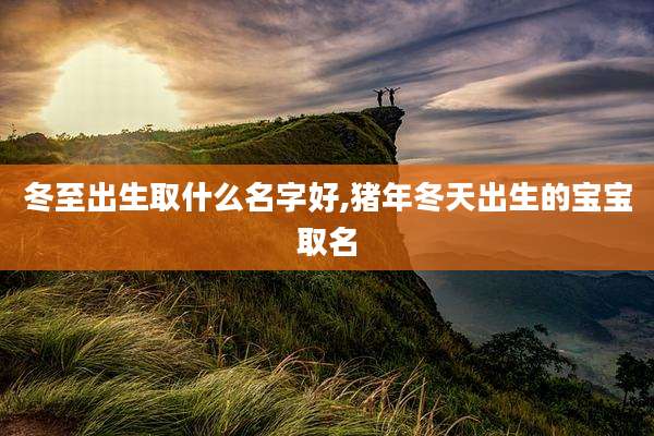 冬至出生取什么名字好,猪年冬天出生的宝宝取名