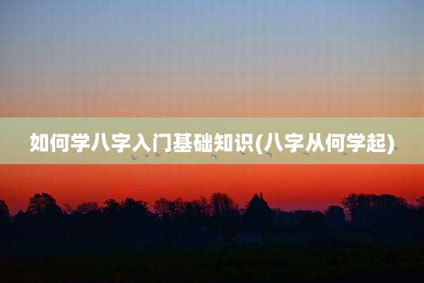 如何学八字入门基础知识(八字从何学起)